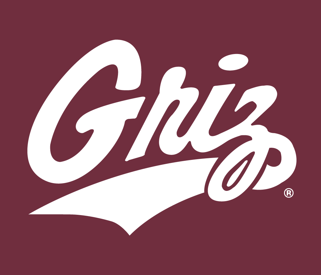 Montana Grizzlies 1996-Pres Alternate Logo v7 DIY iron on transfer (heat transfer)